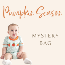 Load image into Gallery viewer, Pumpkin Halloween Mystery Bag
